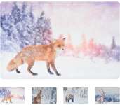 Lábtörlő Karácsonyi  Állat mintás 40x60cm