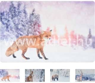 Lábtörlő Karácsonyi  Állat mintás 40x60cm